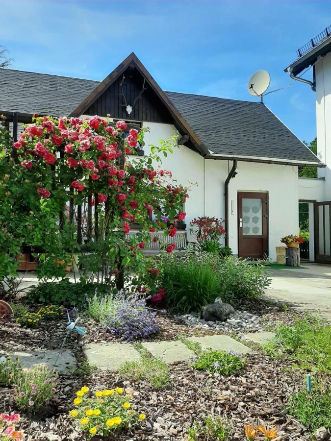 Ferienhaus Schoene Hohnstein Esterno foto